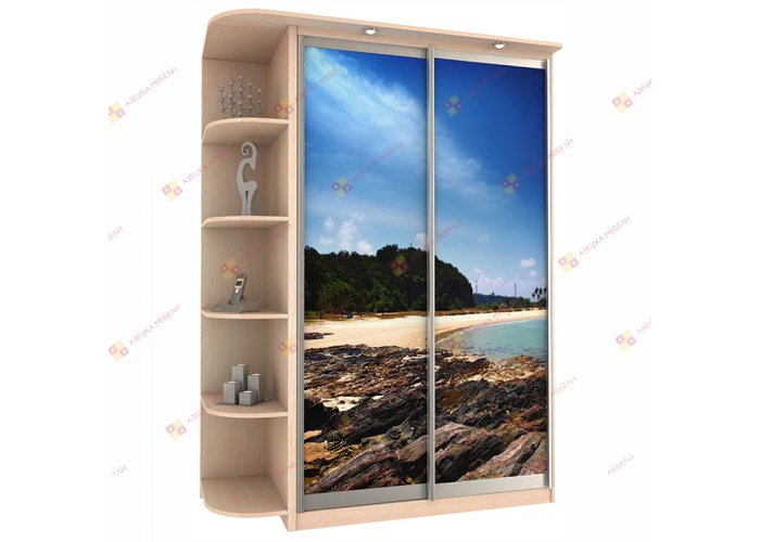 Шкаф-купе на заказ Байкал-Титан-2 с вариантами фасада